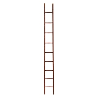 Lot 98: Ladder