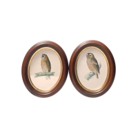 Lot 149D: Two Oval Owl Prints