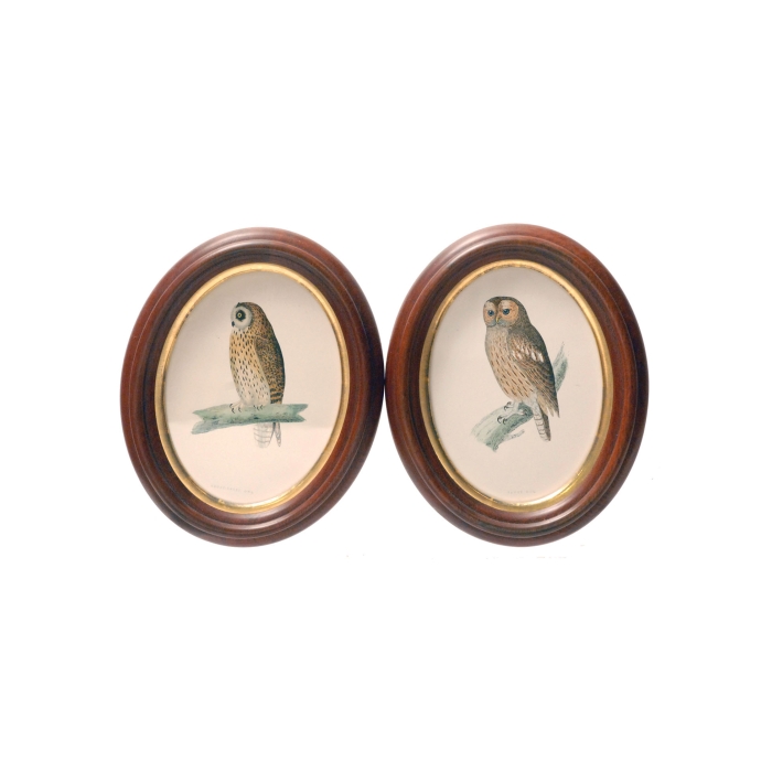 Lot 149D: Two Oval Owl Prints