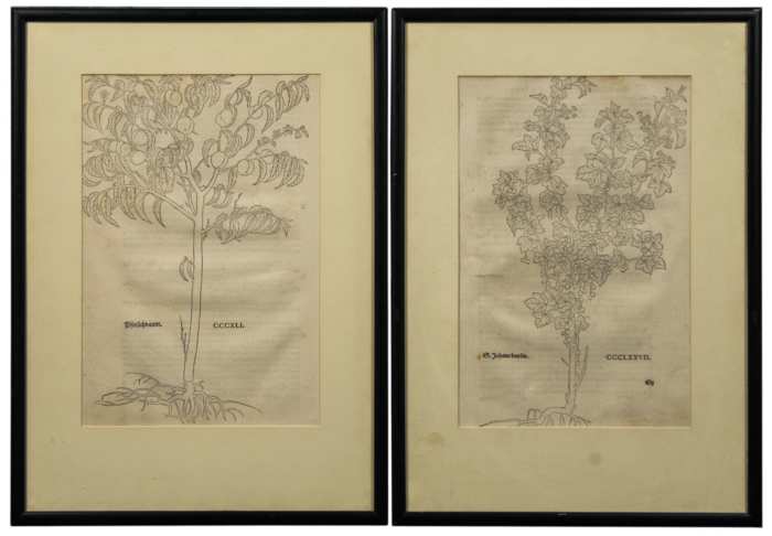 Lot 259: Five Framed Pieces