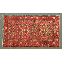 Lot 122C: Turkoman Rug