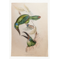 Lot 124: 19th C. Lithographs