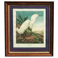 Lot 194: Framed Audubon Print
