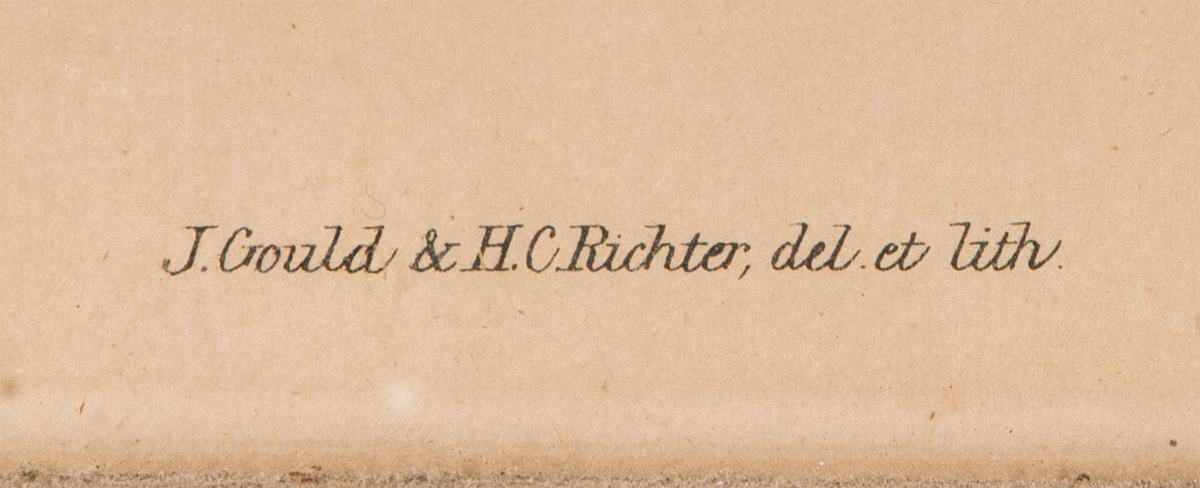 Lot 22: Three Framed Antique Bird Prints - Image 2