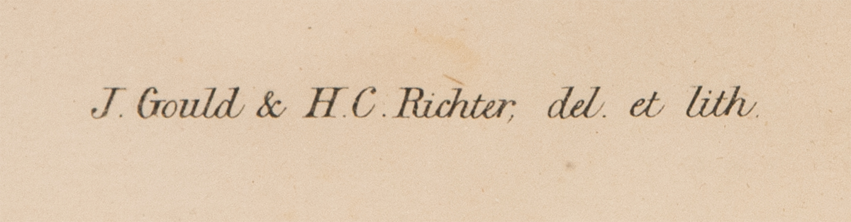 Lot 22: Three Framed Antique Bird Prints - Image 6