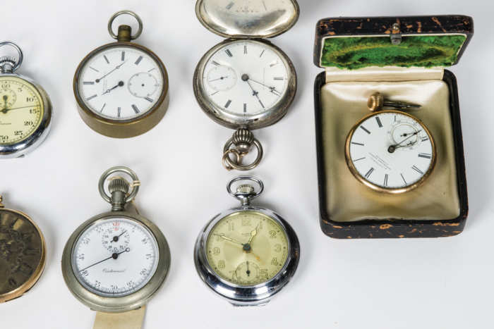 Pocket Watches and Pedometer