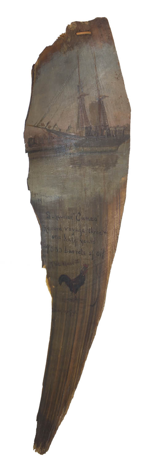 Lot 119C: Rare Painting on Baleen