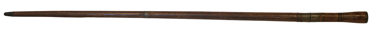Lot 252E: Sword Cane