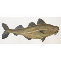 Lot 234: Carved and Painted Codfish